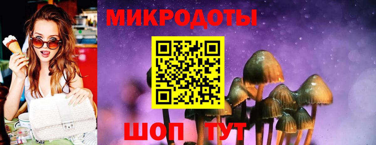 Галлюциногенные грибы GOLDEN TEACHER  Вход с VPN  Галлюциногенные грибы Psilocybine cubensis  Карталы 